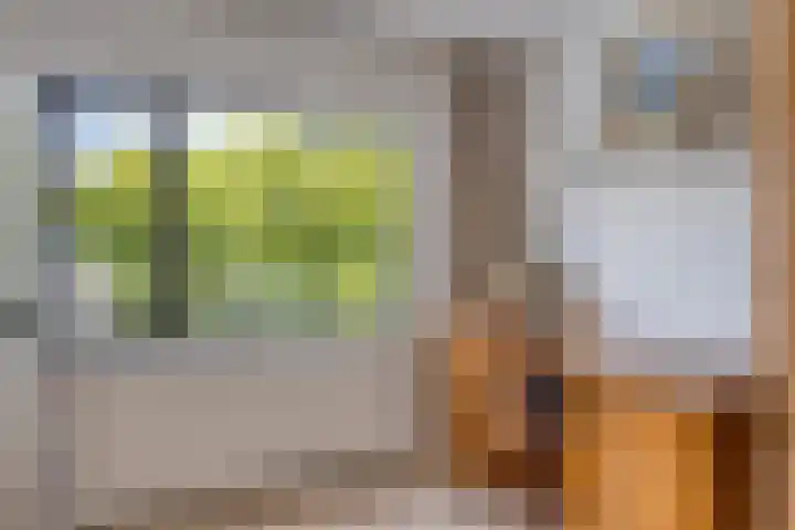 Vierwindenlaan 25 Tilburg thumbnail 53