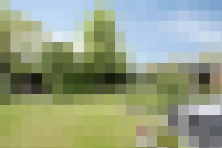 Vierwindenlaan 25 Tilburg thumbnail 54