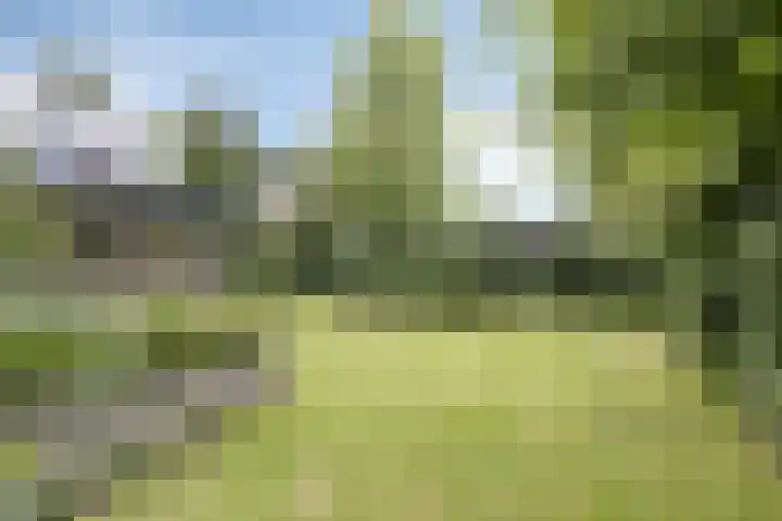 Vierwindenlaan 25 Tilburg thumbnail 56