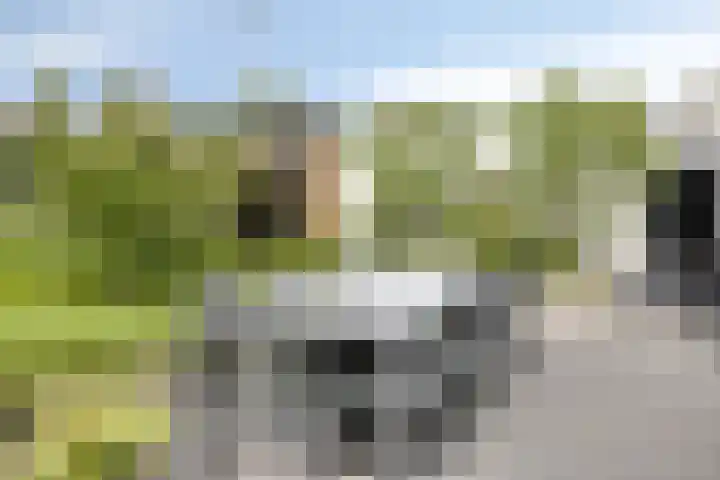 Vierwindenlaan 25 Tilburg thumbnail 58
