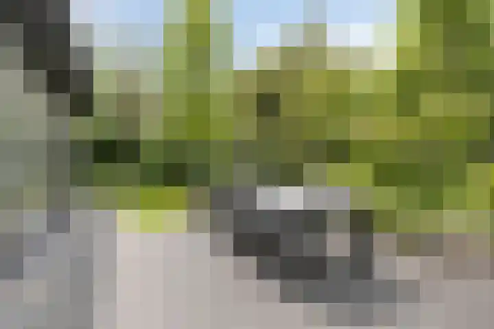 Vierwindenlaan 25 Tilburg thumbnail 59