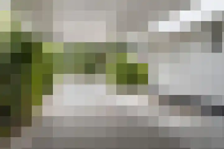 Vierwindenlaan 25 Tilburg thumbnail 6