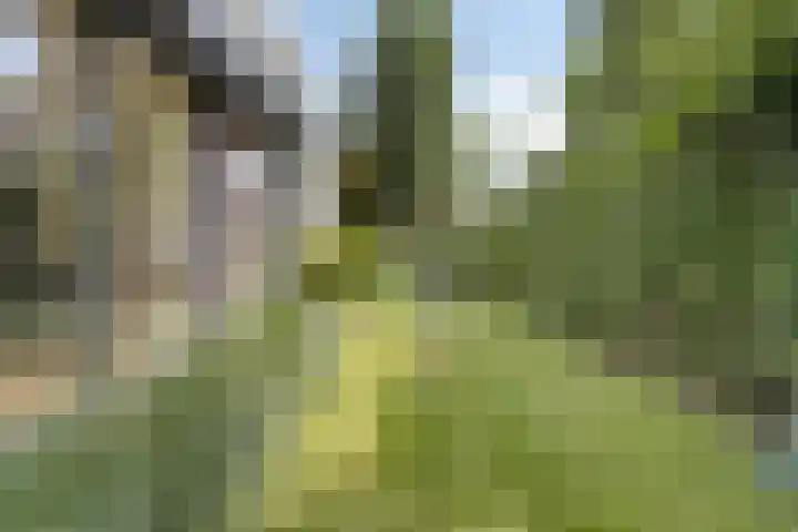 Vierwindenlaan 25 Tilburg thumbnail 61