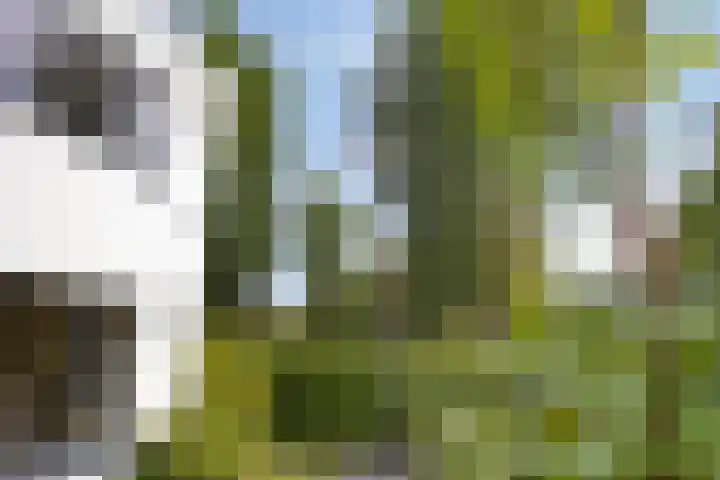Vierwindenlaan 25 Tilburg thumbnail 62