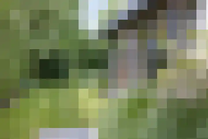 Vierwindenlaan 25 Tilburg thumbnail 63