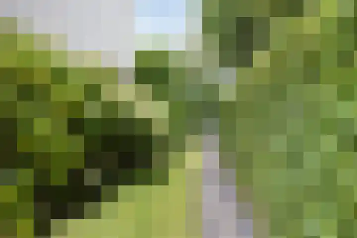 Vierwindenlaan 25 Tilburg thumbnail 64