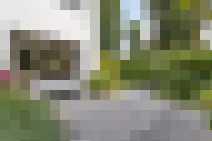 Vierwindenlaan 25 Tilburg thumbnail 65