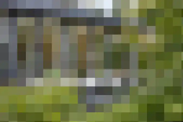 Vierwindenlaan 25 Tilburg thumbnail 66