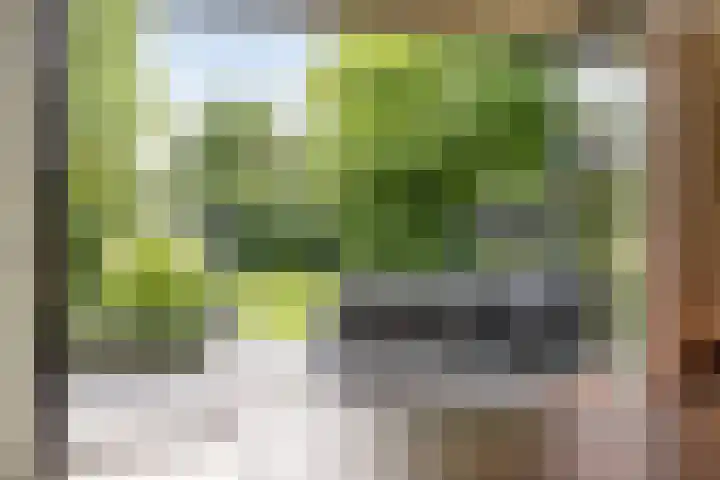 Vierwindenlaan 25 Tilburg thumbnail 69