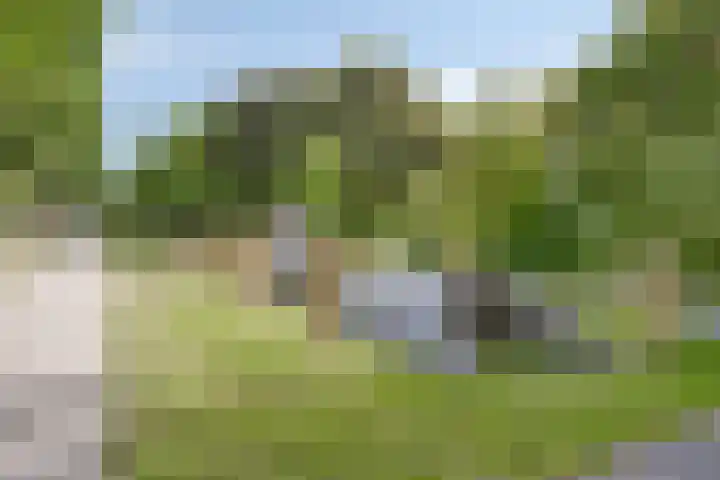 Vierwindenlaan 25 Tilburg thumbnail 72