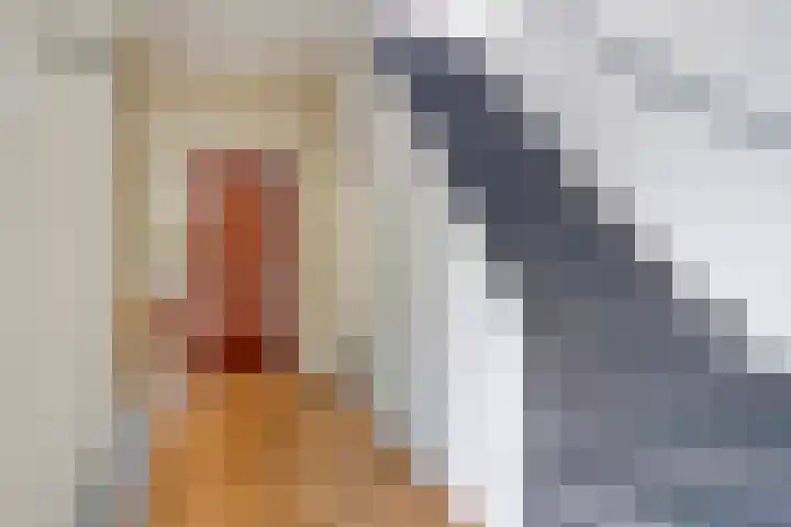 Vierwindenlaan 25 Tilburg thumbnail 8