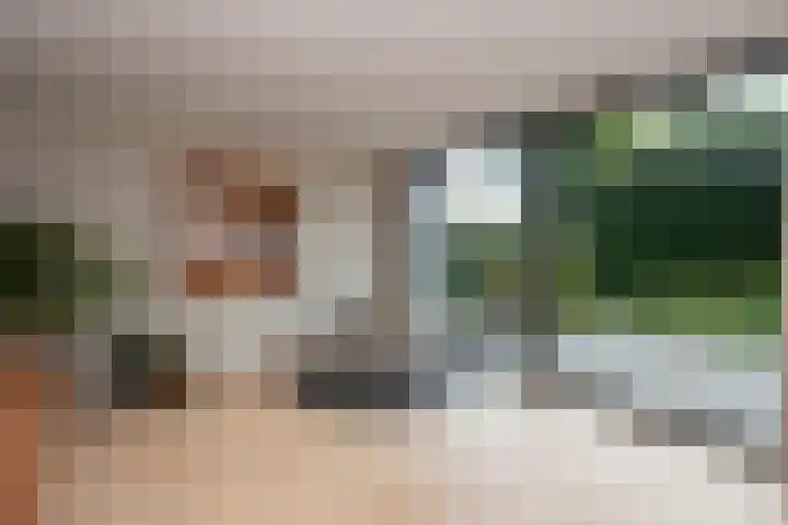 Vierwindenlaan 35 Tilburg thumbnail 12