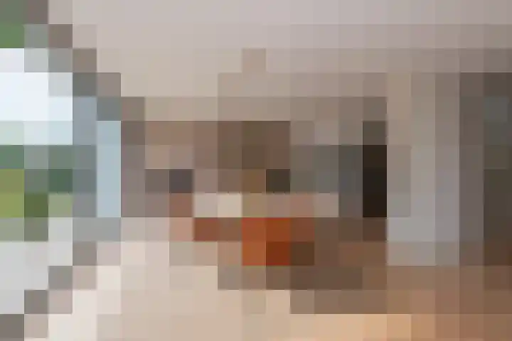 Vierwindenlaan 35 Tilburg thumbnail 17