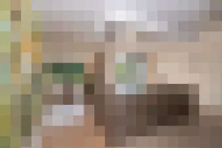 Vierwindenlaan 35 Tilburg thumbnail 23