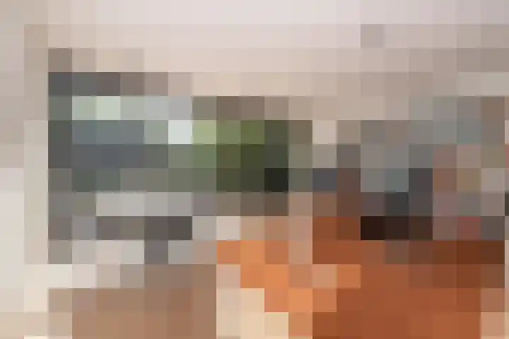 Vierwindenlaan 35 Tilburg thumbnail 26