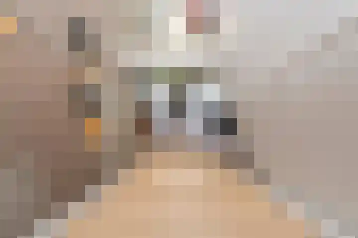 Vierwindenlaan 35 Tilburg thumbnail 31