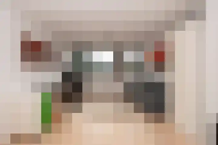 Vierwindenlaan 35 Tilburg thumbnail 41