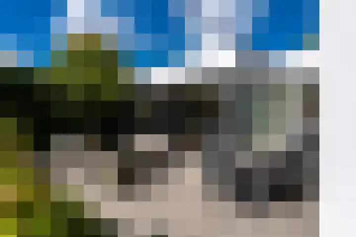 Vierwindenlaan 35 Tilburg thumbnail 52