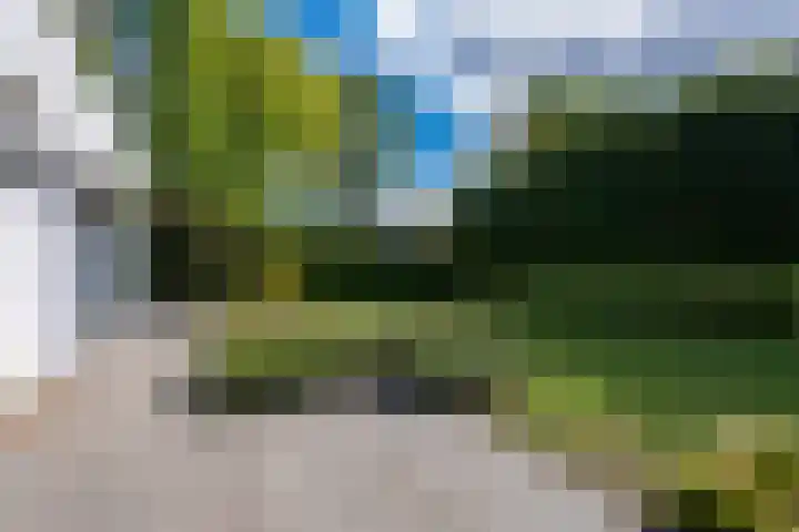 Vierwindenlaan 35 Tilburg thumbnail 56