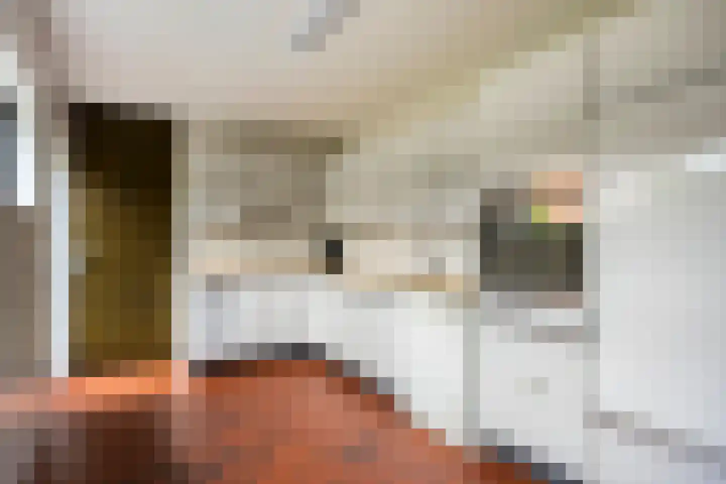 Vierwindenlaan 42 Tilburg thumbnail 16