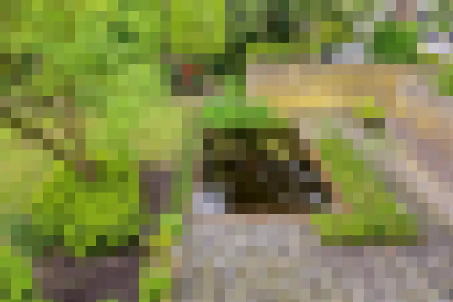 Vierwindenlaan 42 Tilburg thumbnail 33