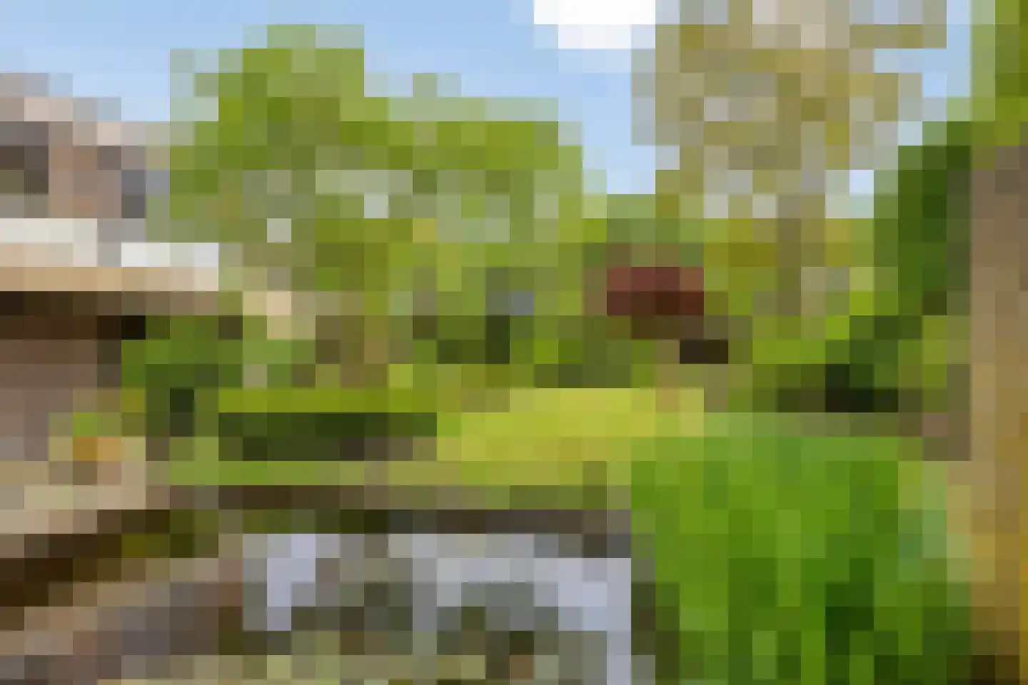 Vierwindenlaan 42 Tilburg thumbnail 37