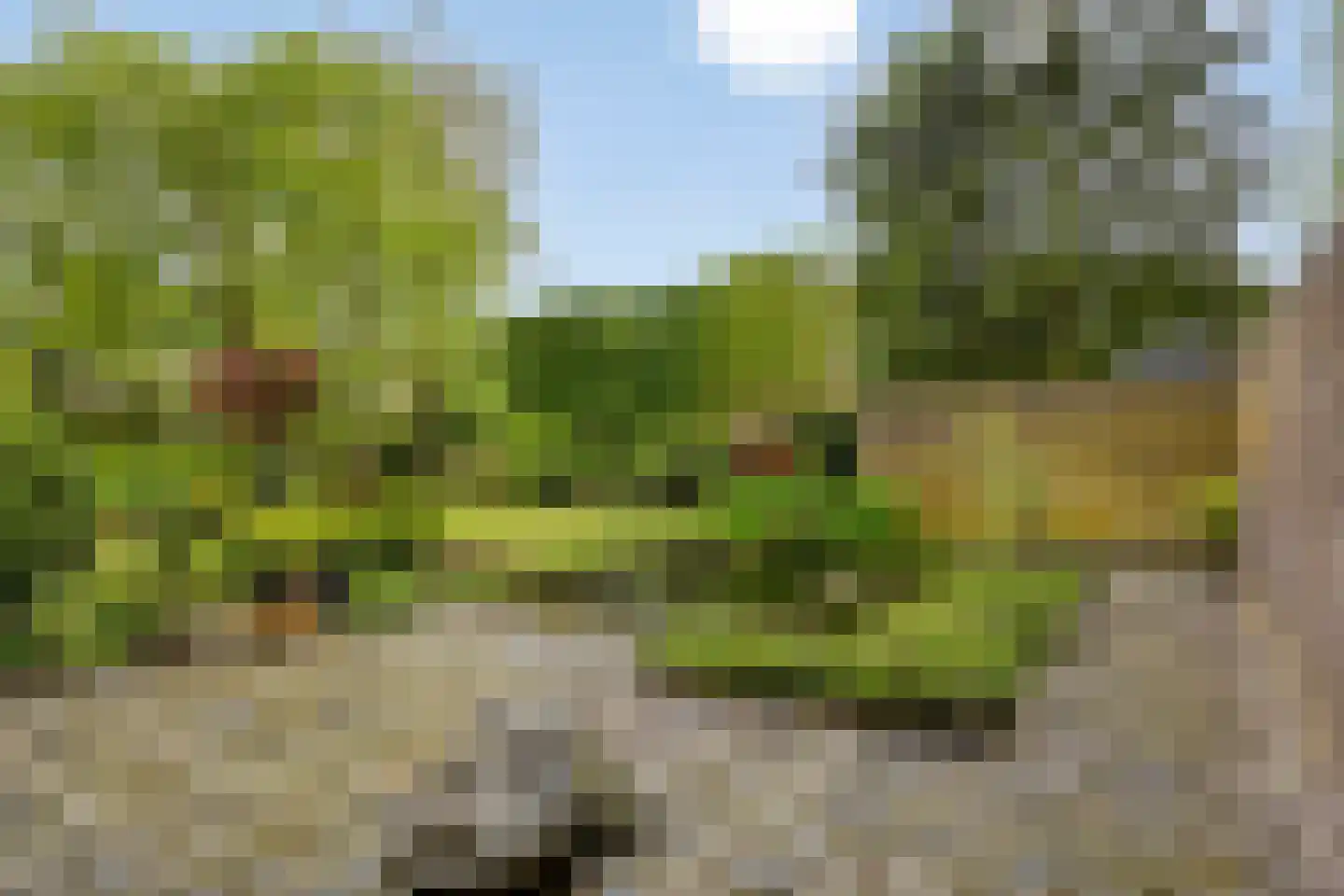 Vierwindenlaan 42 Tilburg thumbnail 38