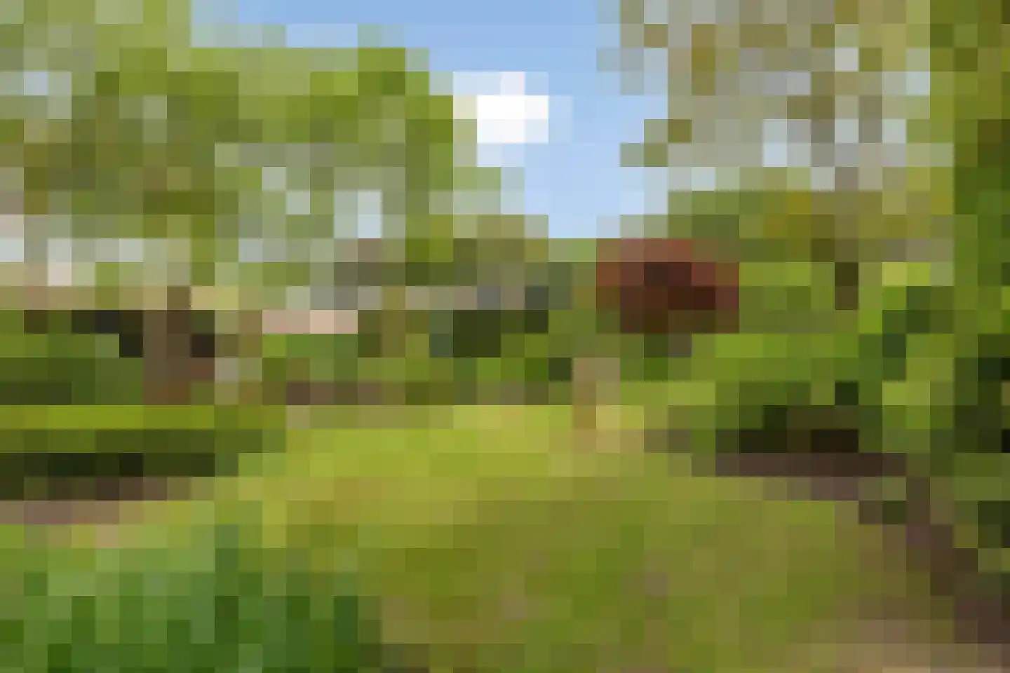Vierwindenlaan 42 Tilburg thumbnail 4