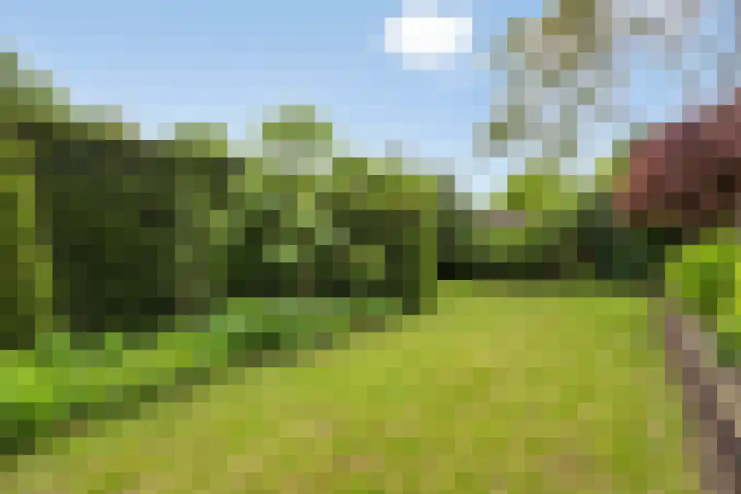 Vierwindenlaan 42 Tilburg thumbnail 43