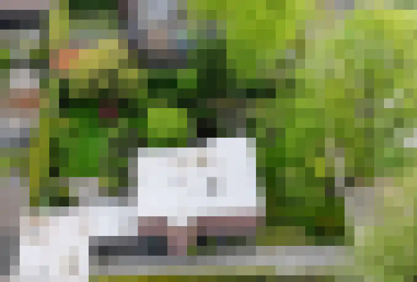 Vierwindenlaan 42 Tilburg thumbnail 5