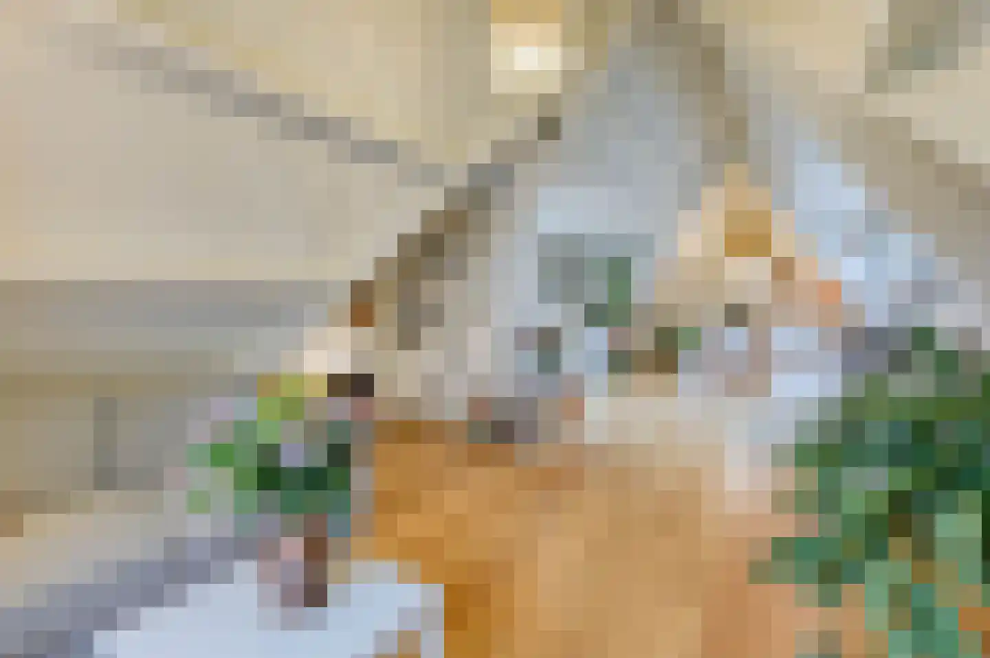 Vierwindenstraat 19 Amsterdam thumbnail 33