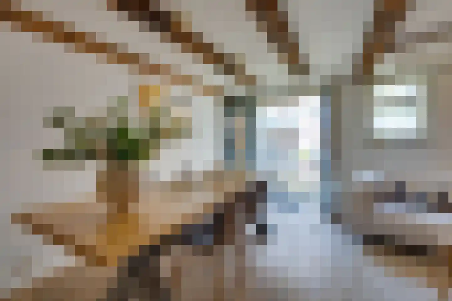 Vierwindenstraat 205 Amsterdam thumbnail 4