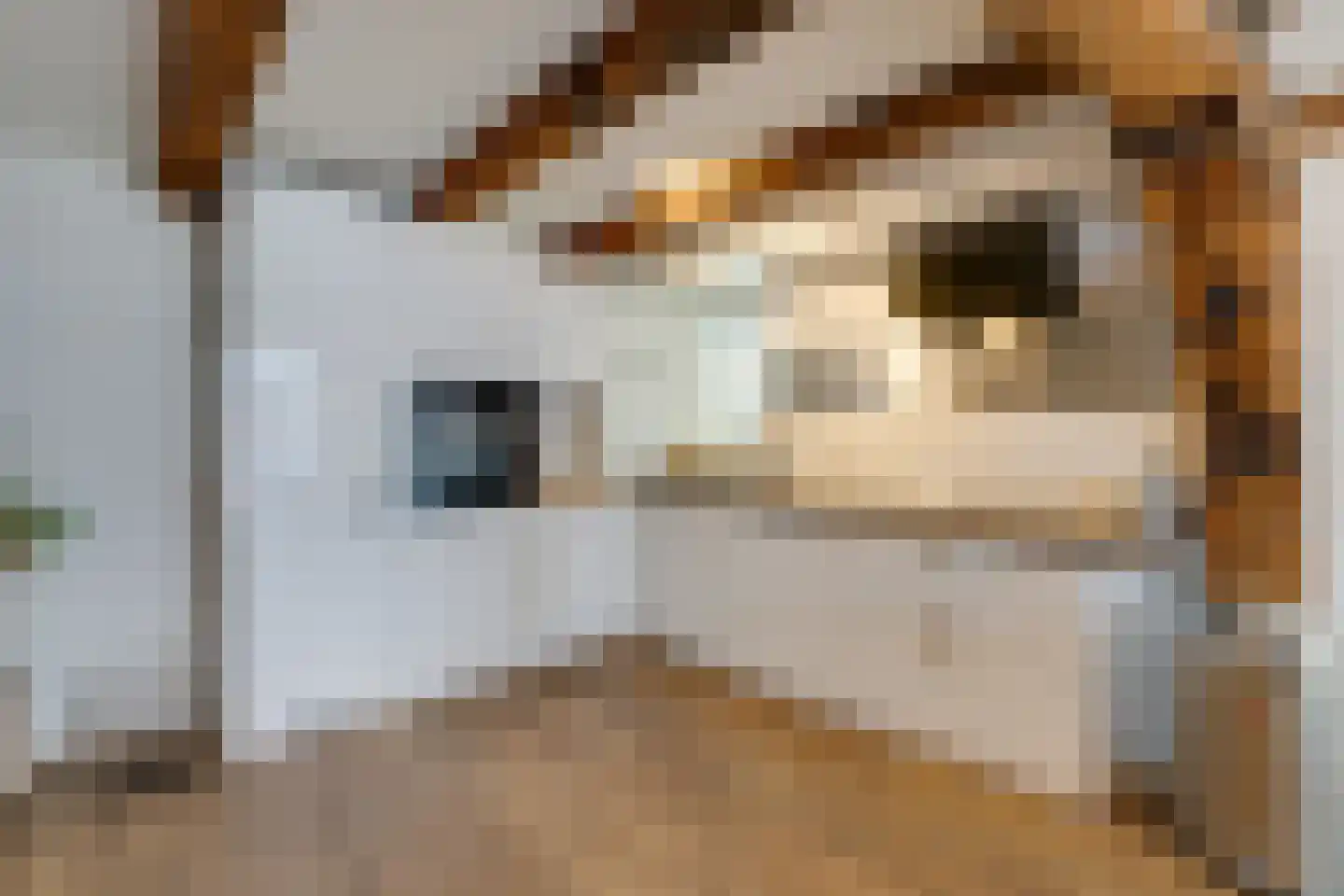 Vierwindenstraat 205 Amsterdam thumbnail 9