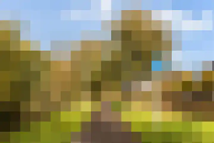 Vierwoudstedenmeer 136 Woerden thumbnail 49