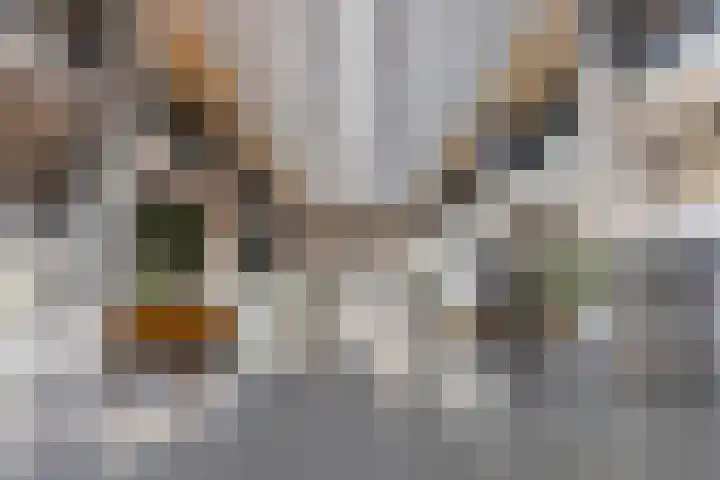 Vierwoudstedenmeer 136 Woerden thumbnail 5