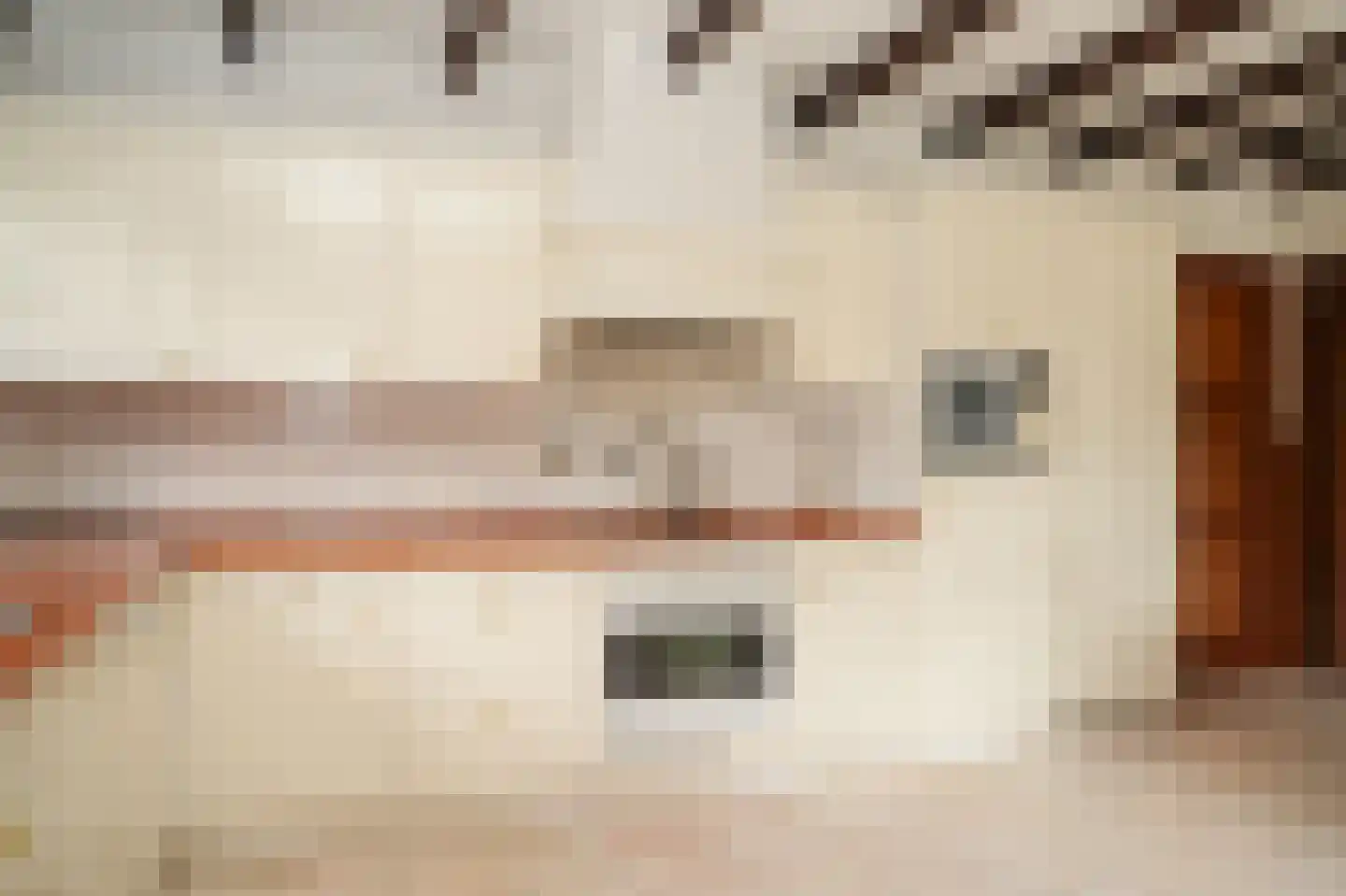 Vierzonenweg 13 Vroomshoop thumbnail 13