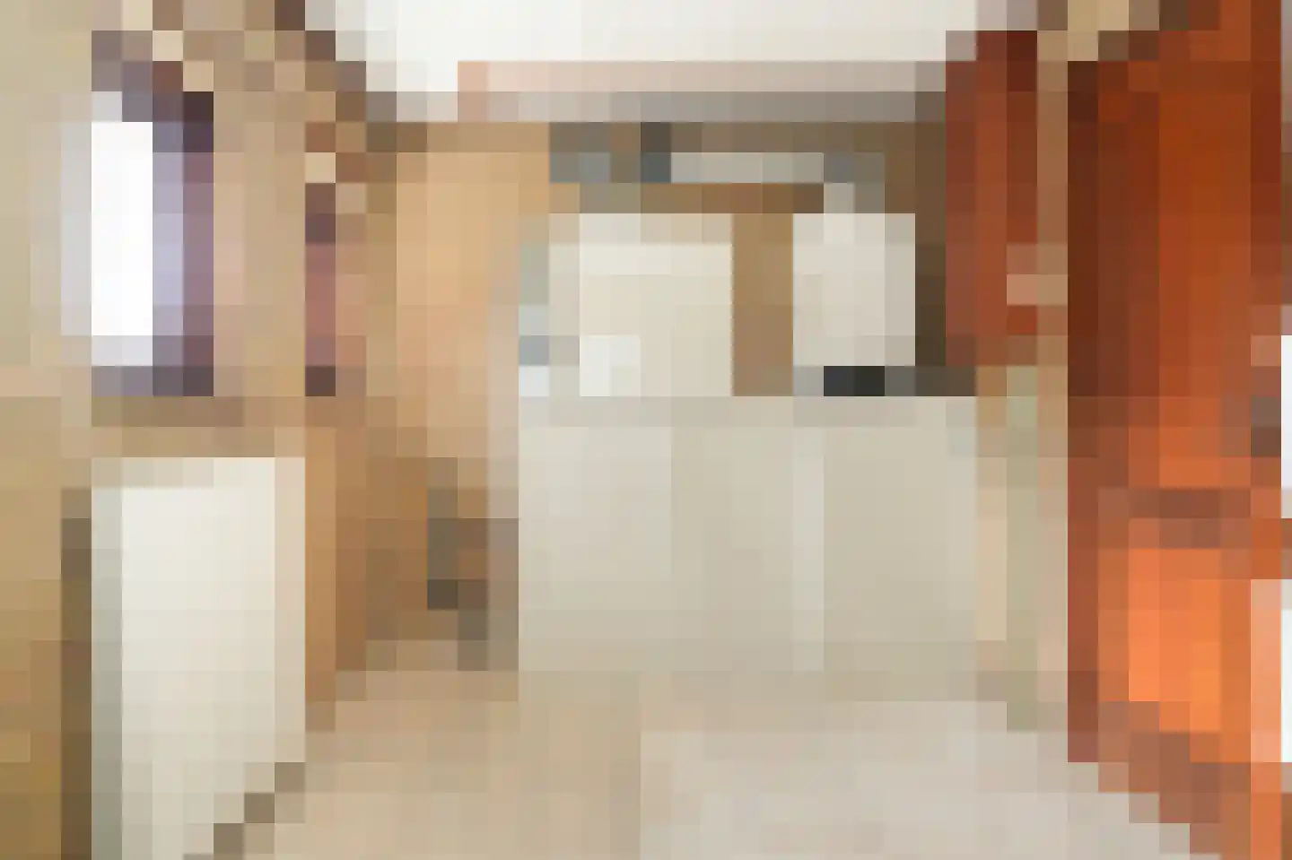Vierzonenweg 13 Vroomshoop thumbnail 14
