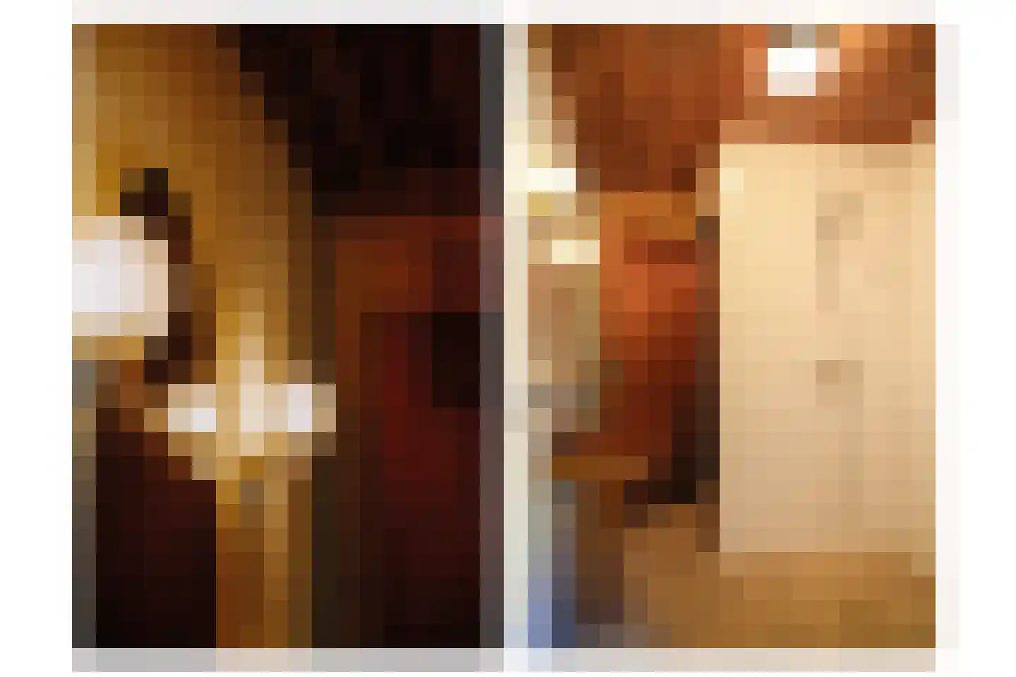 Vierzonenweg 13 Vroomshoop thumbnail 17