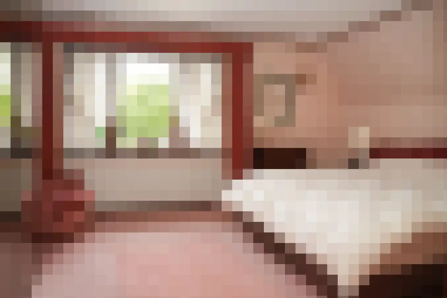 Vierzonenweg 13 Vroomshoop thumbnail 24