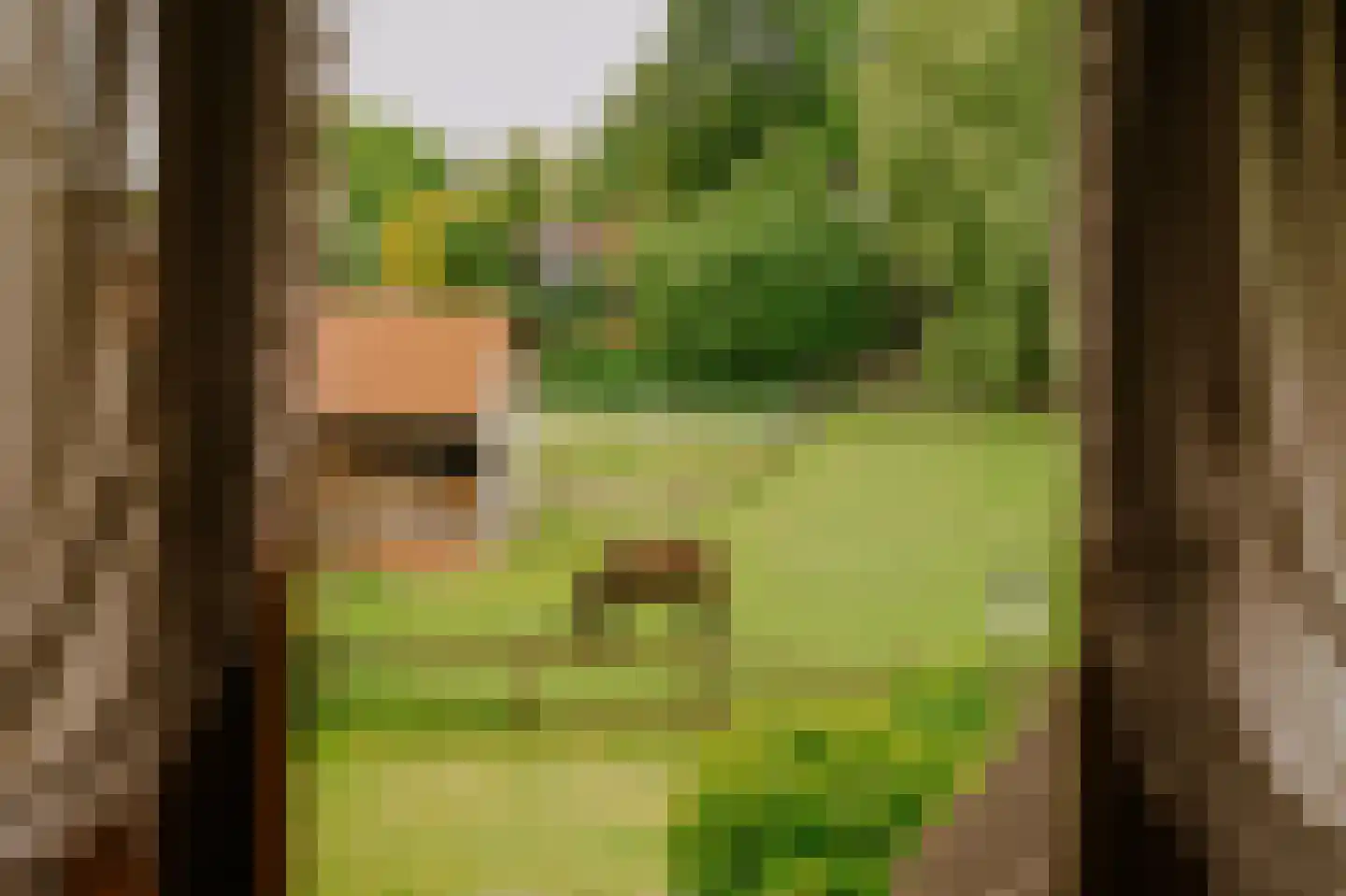 Vierzonenweg 13 Vroomshoop thumbnail 25