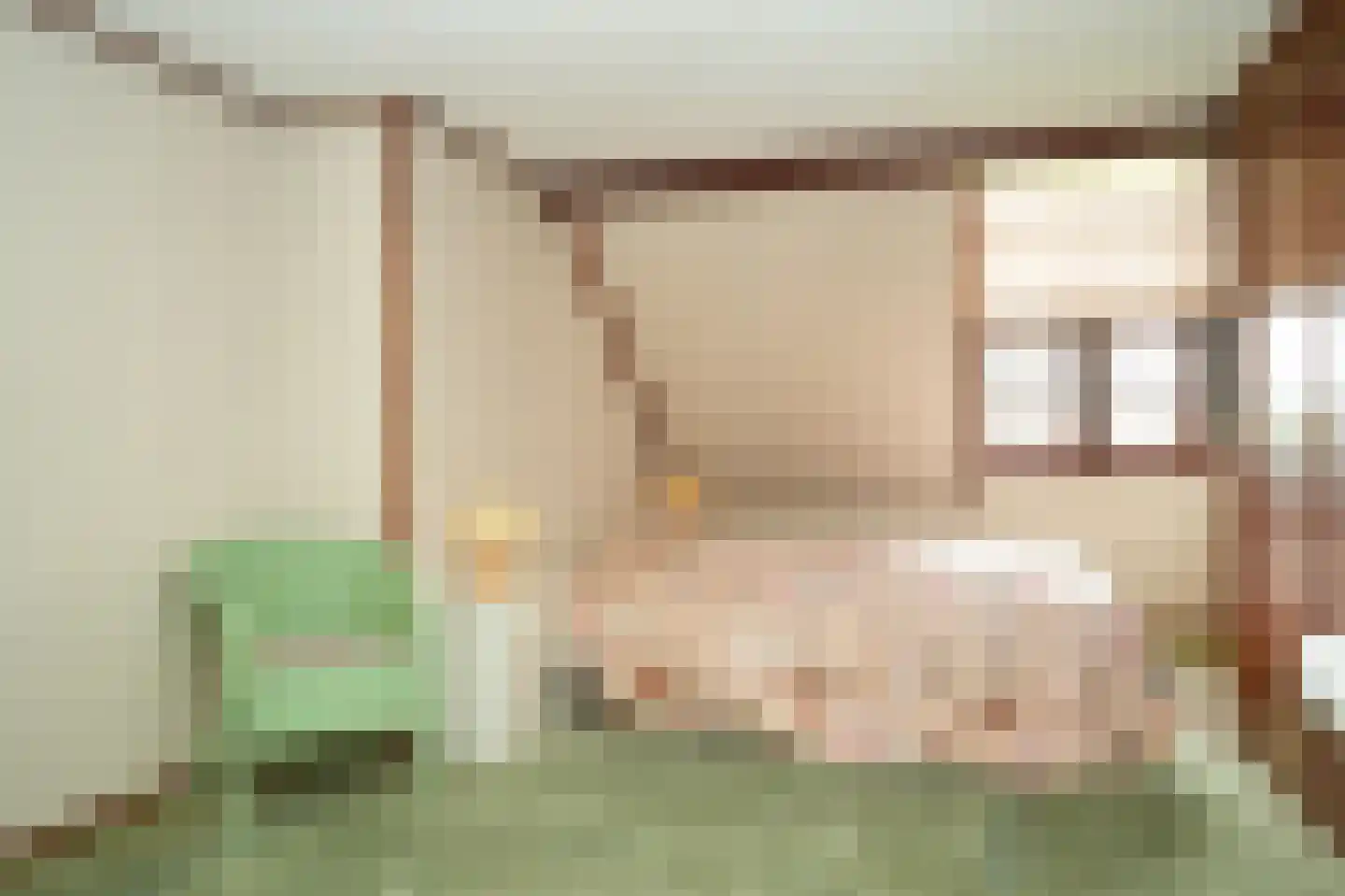 Vierzonenweg 13 Vroomshoop thumbnail 28