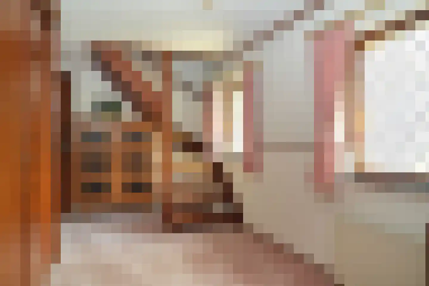 Vierzonenweg 13 Vroomshoop thumbnail 31