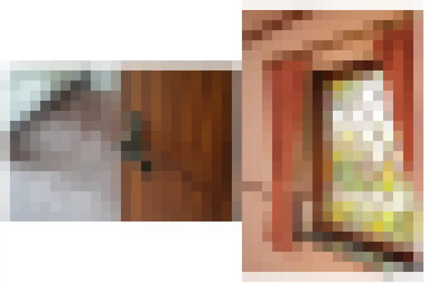 Vierzonenweg 13 Vroomshoop thumbnail 33
