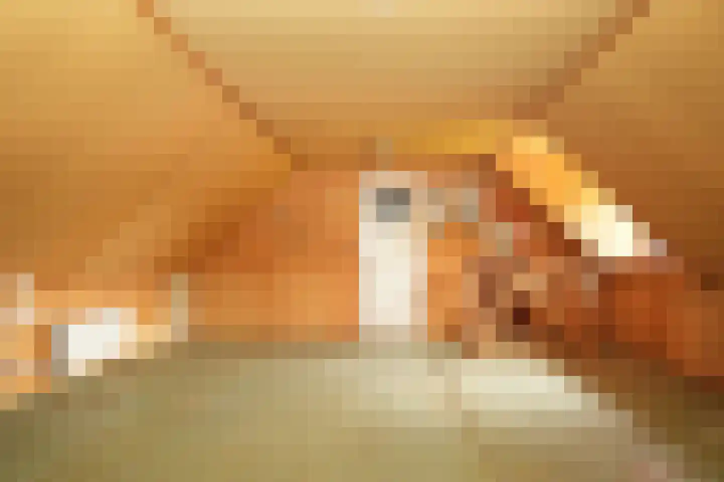 Vierzonenweg 13 Vroomshoop thumbnail 34