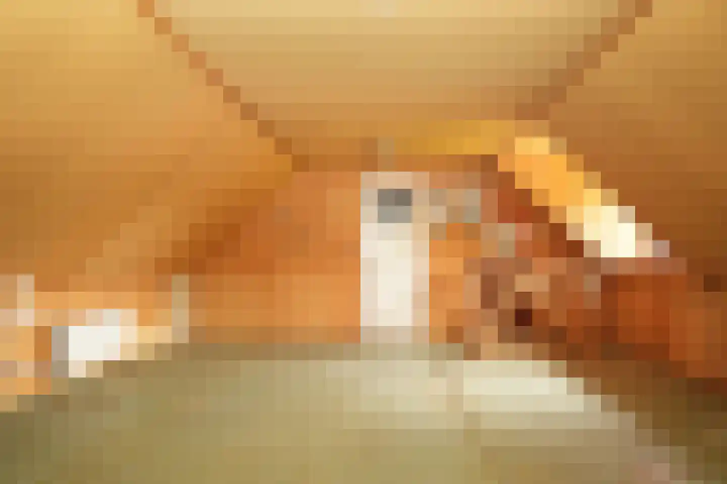Vierzonenweg 13 Vroomshoop thumbnail 34