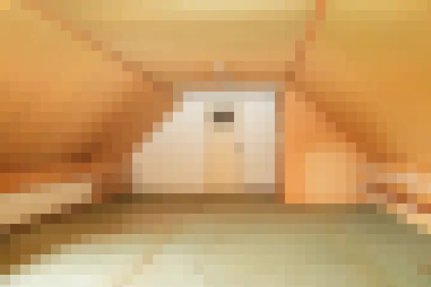 Vierzonenweg 13 Vroomshoop thumbnail 35