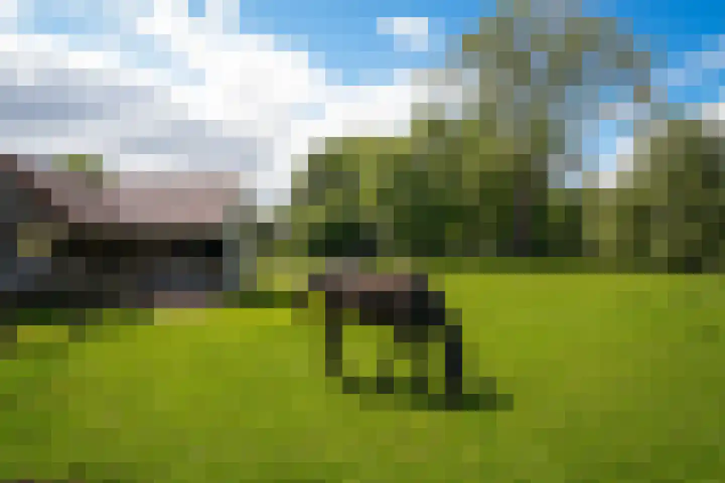 Vierzonenweg 13 Vroomshoop thumbnail 41