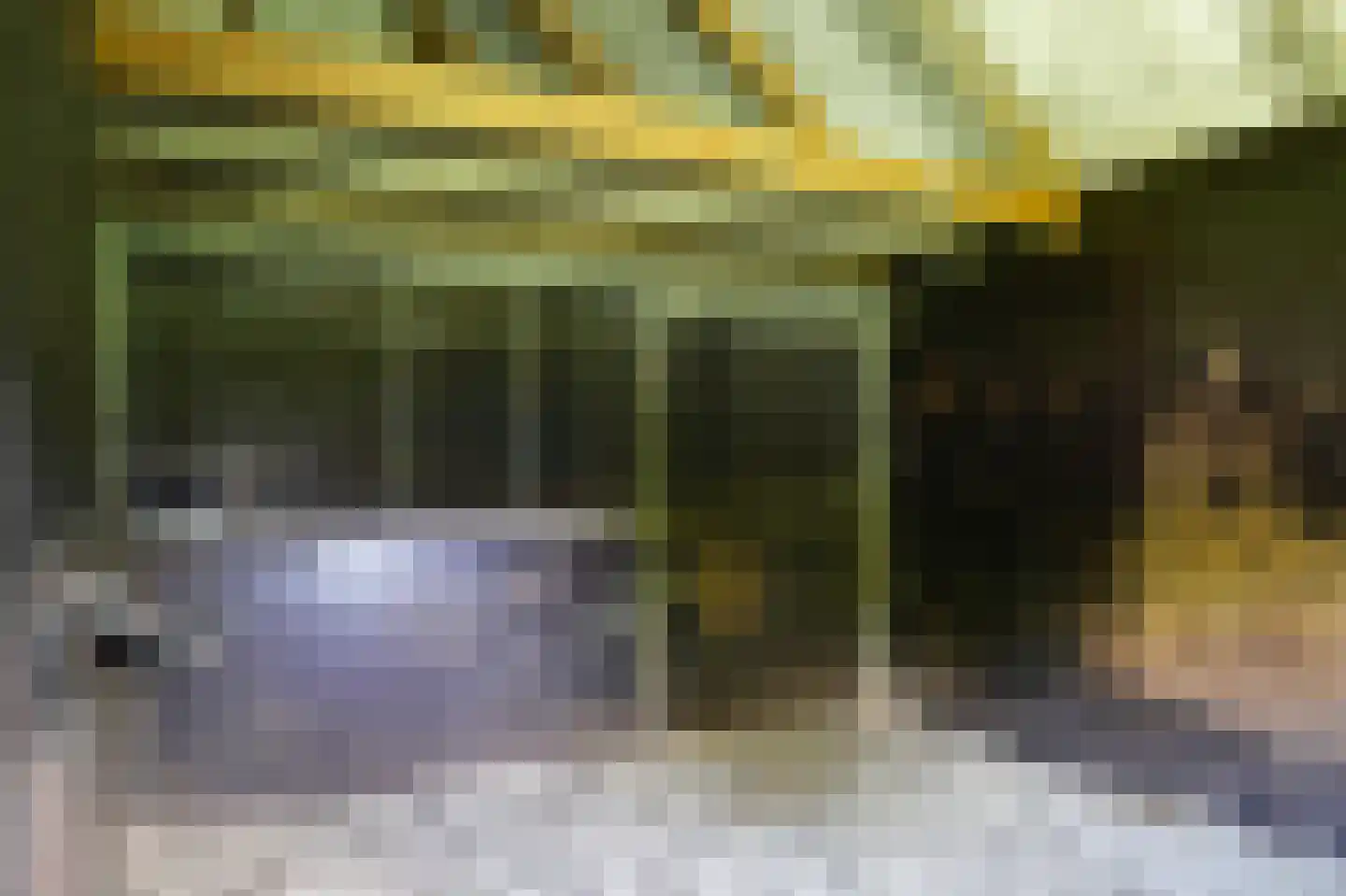 Vierzonenweg 13 Vroomshoop thumbnail 43