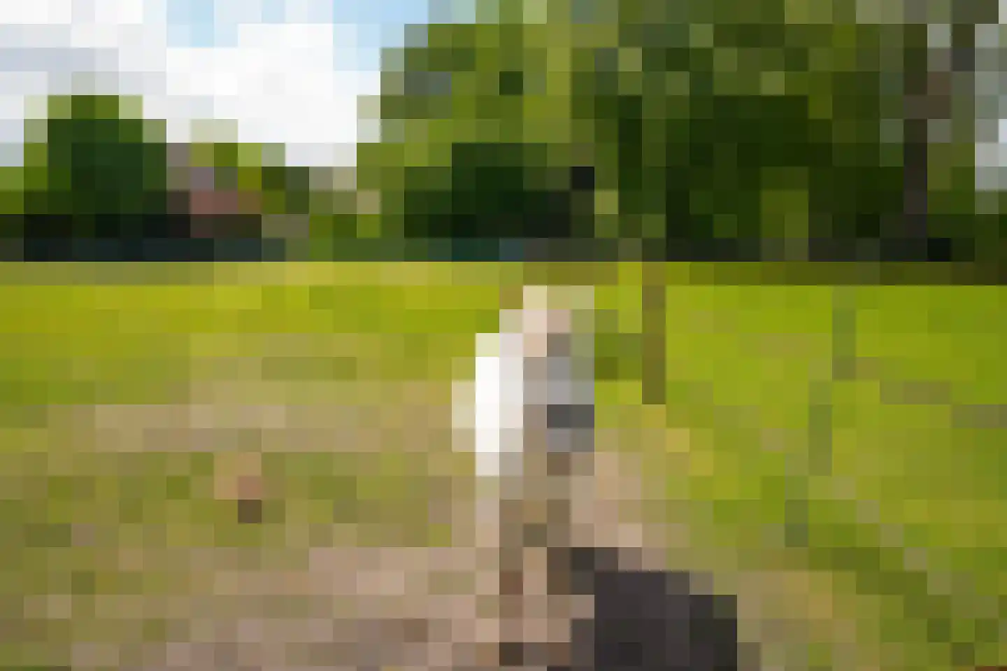 Vierzonenweg 13 Vroomshoop thumbnail 44