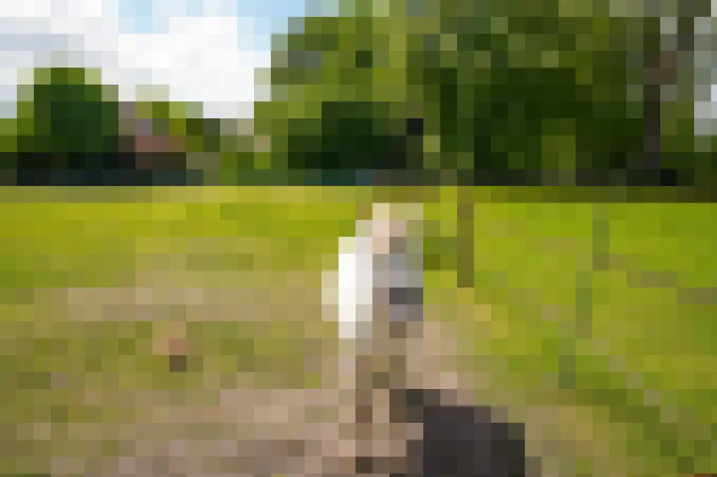 Vierzonenweg 13 Vroomshoop thumbnail 45
